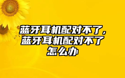 藍(lán)牙耳機(jī)配對(duì)不了,藍(lán)牙耳機(jī)配對(duì)不了怎么辦