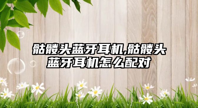 玉翠科技網(wǎng)