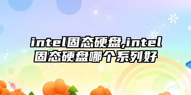 intel固態(tài)硬盤,intel固態(tài)硬盤哪個系列好