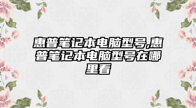 惠普筆記本電腦型號,惠普筆記本電腦型號在哪里看