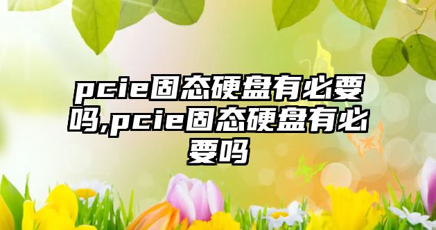 pcie固態(tài)硬盤有必要嗎,pcie固態(tài)硬盤有必要嗎