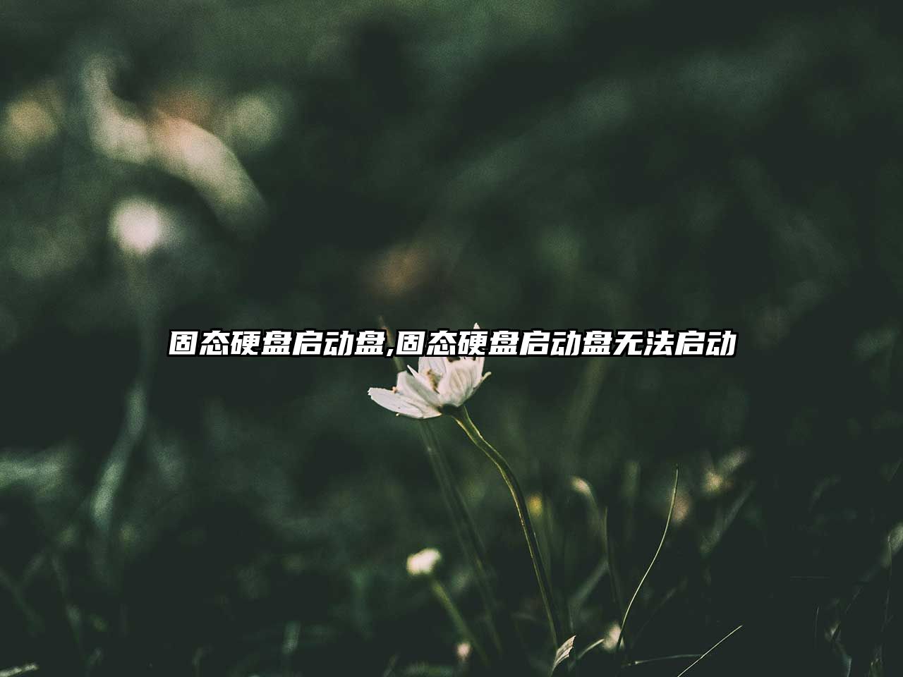 玉翠科技網(wǎng)