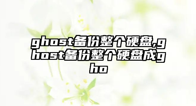 ghost備份整個(gè)硬盤(pán),ghost備份整個(gè)硬盤(pán)成gho