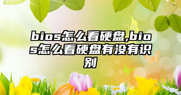 bios怎么看硬盤,bios怎么看硬盤有沒有識(shí)別