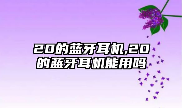 20的藍(lán)牙耳機,20的藍(lán)牙耳機能用嗎