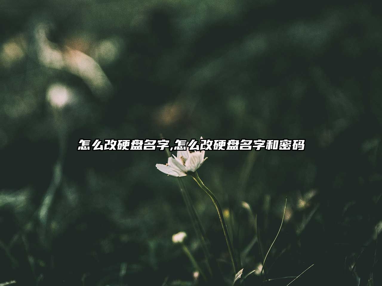 怎么改硬盤名字,怎么改硬盤名字和密碼