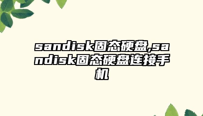 sandisk固態(tài)硬盤(pán),sandisk固態(tài)硬盤(pán)連接手機(jī)