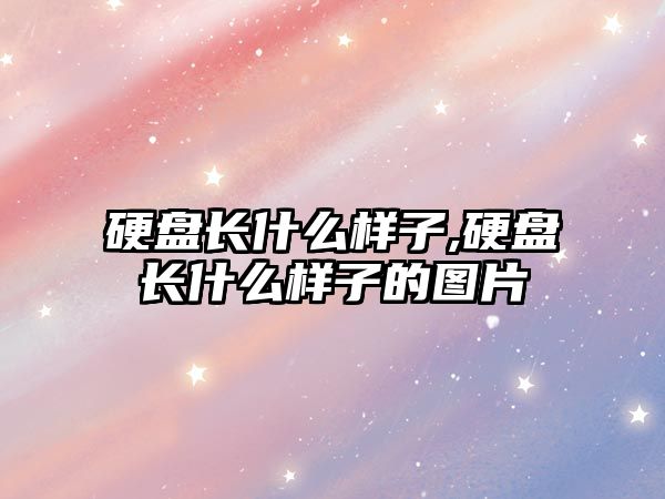 硬盤(pán)長(zhǎng)什么樣子,硬盤(pán)長(zhǎng)什么樣子的圖片