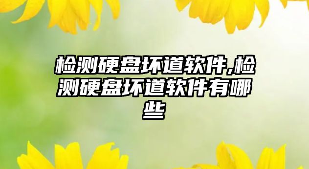 檢測(cè)硬盤壞道軟件,檢測(cè)硬盤壞道軟件有哪些