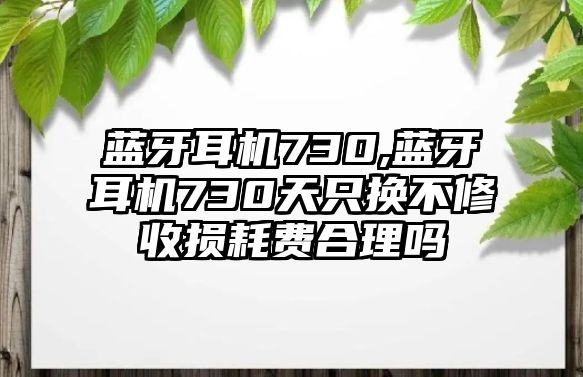 藍(lán)牙耳機(jī)730,藍(lán)牙耳機(jī)730天只換不修收損耗費(fèi)合理嗎