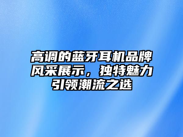 高調的藍牙耳機品牌風采展示，獨特魅力引領潮流之選